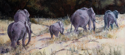 Elephants crossing River bed - Kruger Park | 2019 | Oil on Canvas | 45 x 75 cm